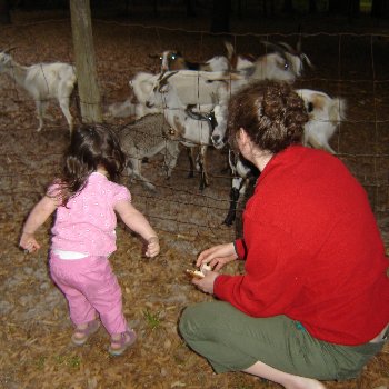 3-30-07-goats.jpg